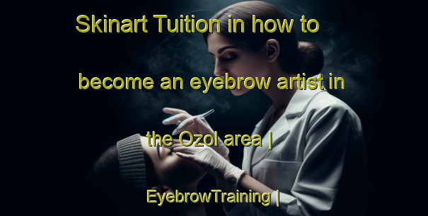 Skinart Tuition in how to become an eyebrow artist in the Ozol area | EyebrowTraining | EyebrowClasses | SkinartTraining-United States